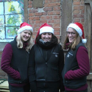Weihnachtsmarkt Altentreptow